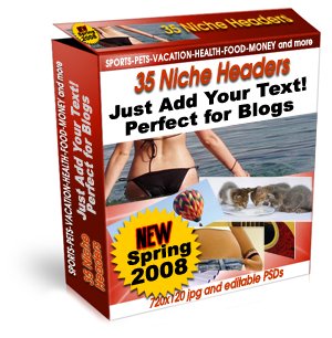 Video Blogging Profits