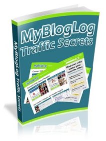 BlogLOg Traffic