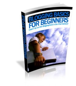 Blogging Basics 4 Beginners